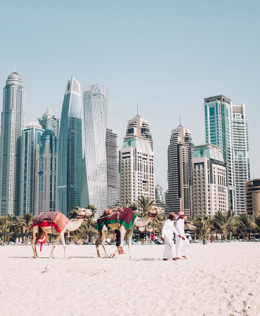 Men walking camels on a beach in Dubai